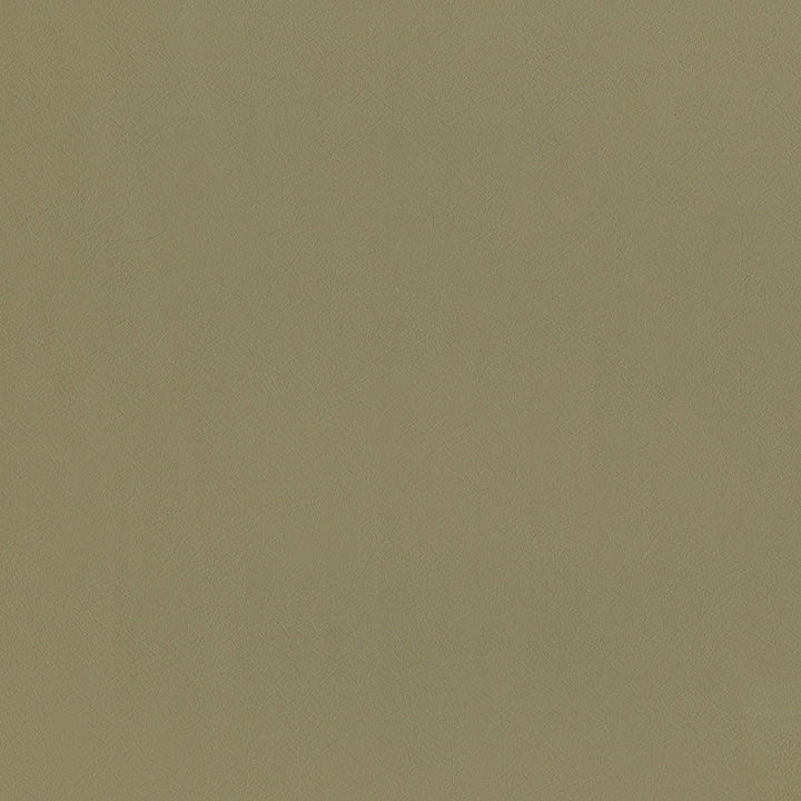 Jackson # 627 Tiramisu by Maxwell Designer Fabric Jackson FACE: 100% PVC
BACKING: 100% POLYESTER CHINA 55" - Swanky Fabrics -