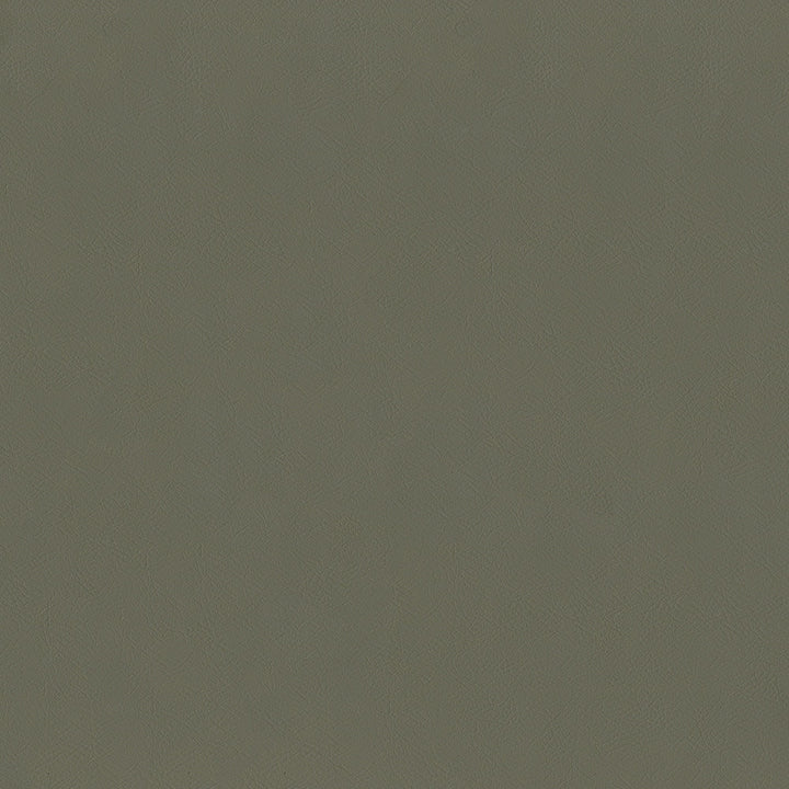 Jackson # 629 Gravel by Maxwell Designer Fabric Jackson FACE: 100% PVC
BACKING: 100% POLYESTER CHINA 55" - Swanky Fabrics -