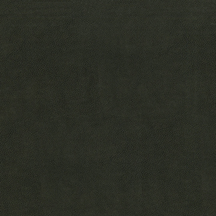 Jackson # 639 Cobra by Maxwell Designer Fabric Jackson FACE: 100% PVC
BACKING: 100% POLYESTER CHINA 55" - Swanky Fabrics -