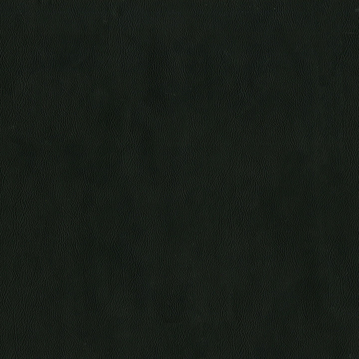 Jackson # 640 Onyx by Maxwell Designer Fabric Jackson FACE: 100% PVC
BACKING: 100% POLYESTER CHINA 55" - Swanky Fabrics -