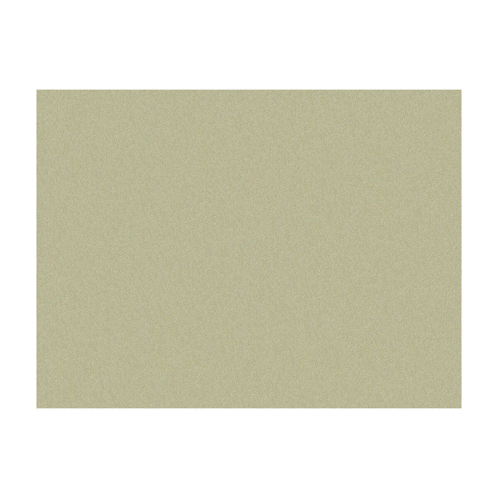 Jour Roman Stone by Brunschwig & Fils Fabric Brunschwig & Fils Fabric Jour Roman StoneFabric JAGTAR SILK - 100% Thailand </p><p>Repeat: H: 0, V: 0 48 - Fabric Carolina -