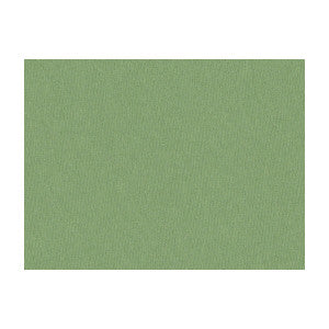 Jour Sage by Brunschwig & Fils Designer Fabric
