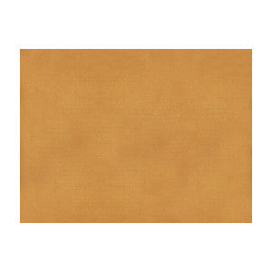 Sukhothai Apricot by Brunschwig & Fils Designer Fabric