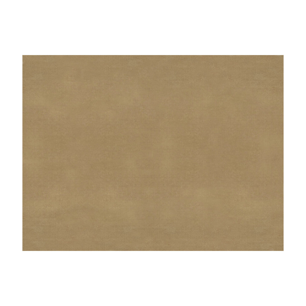 Sukhothai Tan by Brunschwig & Fils Fabric Brunschwig & Fils Fabric Sukhothai TanFabric JAGTAR SILK - 100% Thailand </p><p>Repeat: H: 0, V: 0 55 - Fabric Carolina -