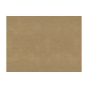 Sukhothai Tan by Brunschwig & Fils Designer Fabric