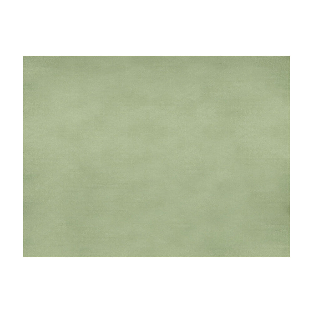 Sukhothai Celadon Green by Brunschwig & Fils Fabric Brunschwig & Fils Fabric Sukhothai Celadon GreenFabric JAGTAR SILK - 100% Thailand </p><p>Repeat: H: 0, V: 0 55 - Fabric Carolina -