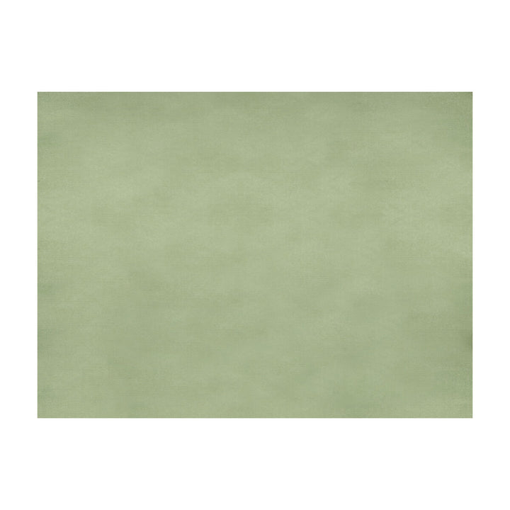 Sukhothai Celadon Green by Brunschwig & Fils Fabric Brunschwig & Fils Fabric Sukhothai Celadon GreenFabric JAGTAR SILK - 100% Thailand </p><p>Repeat: H: 0, V: 0 55 - Fabric Carolina -