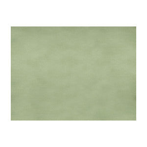 Sukhothai Celadon Green by Brunschwig & Fils Designer Fabric