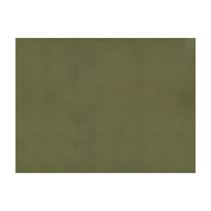 Sukhothai Olive by Brunschwig & Fils Fabric Brunschwig & Fils Fabric Sukhothai Olive Fabric JAGTAR SILK - 100% Thailand </p><p>Repeat: H: 0, V: 0 55 - Fabric Carolina -