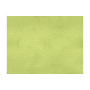 Sukhothai Lemon Green by Brunschwig & Fils Designer Fabric