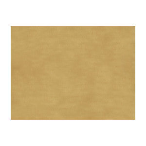 Sukhothai Mustard Gold by Brunschwig & Fils Designer Fabric