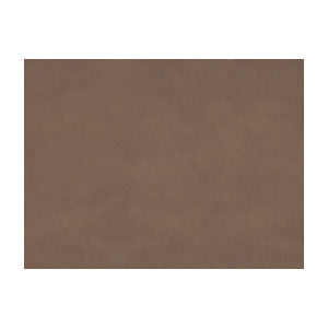 Sukhothai Sandstone by Brunschwig & Fils Designer Fabric