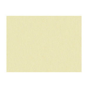 Shots Pongee by Brunschwig & Fils Designer Fabric