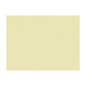 Shots Parchment by Brunschwig & Fils Designer Fabric