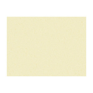 Shots Nacre by Brunschwig & Fils Designer Fabric