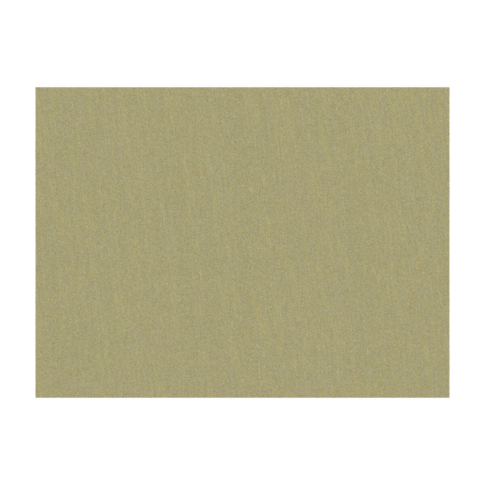 Shots Greige Dore by Brunschwig & Fils Fabric Brunschwig & Fils Fabric Shots Greige DoreFabric JAGTAR SILK - 100% Thailand </p><p>Repeat: H: 0, V: 0 54 - Fabric Carolina -