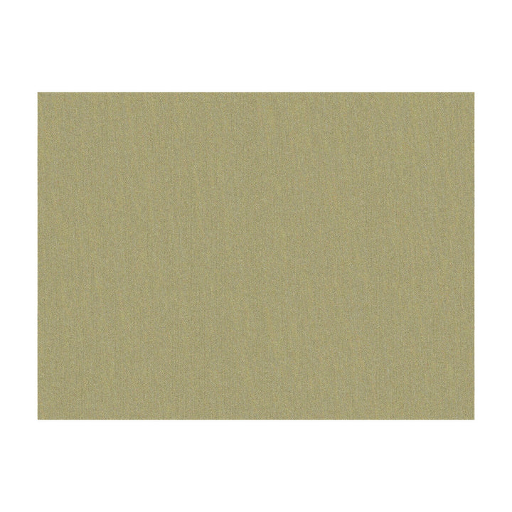 Shots Greige Dore by Brunschwig & Fils Fabric Brunschwig & Fils Fabric Shots Greige DoreFabric JAGTAR SILK - 100% Thailand </p><p>Repeat: H: 0, V: 0 54 - Fabric Carolina -