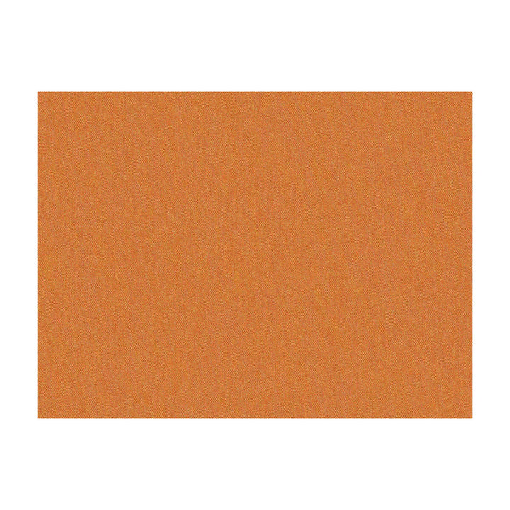 Shots Terra Cotta by Brunschwig & Fils Fabric Brunschwig & Fils Fabric Shots Terra CottaFabric JAGTAR SILK - 100% Thailand </p><p>Repeat: H: 0, V: 0 54 - Fabric Carolina -