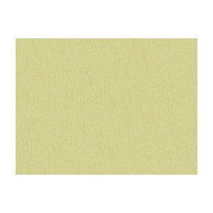 Shots Spanish Moss by Brunschwig & Fils Designer Fabric