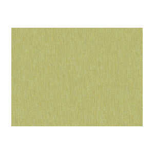 Shots Thyme by Brunschwig & Fils Designer Fabric