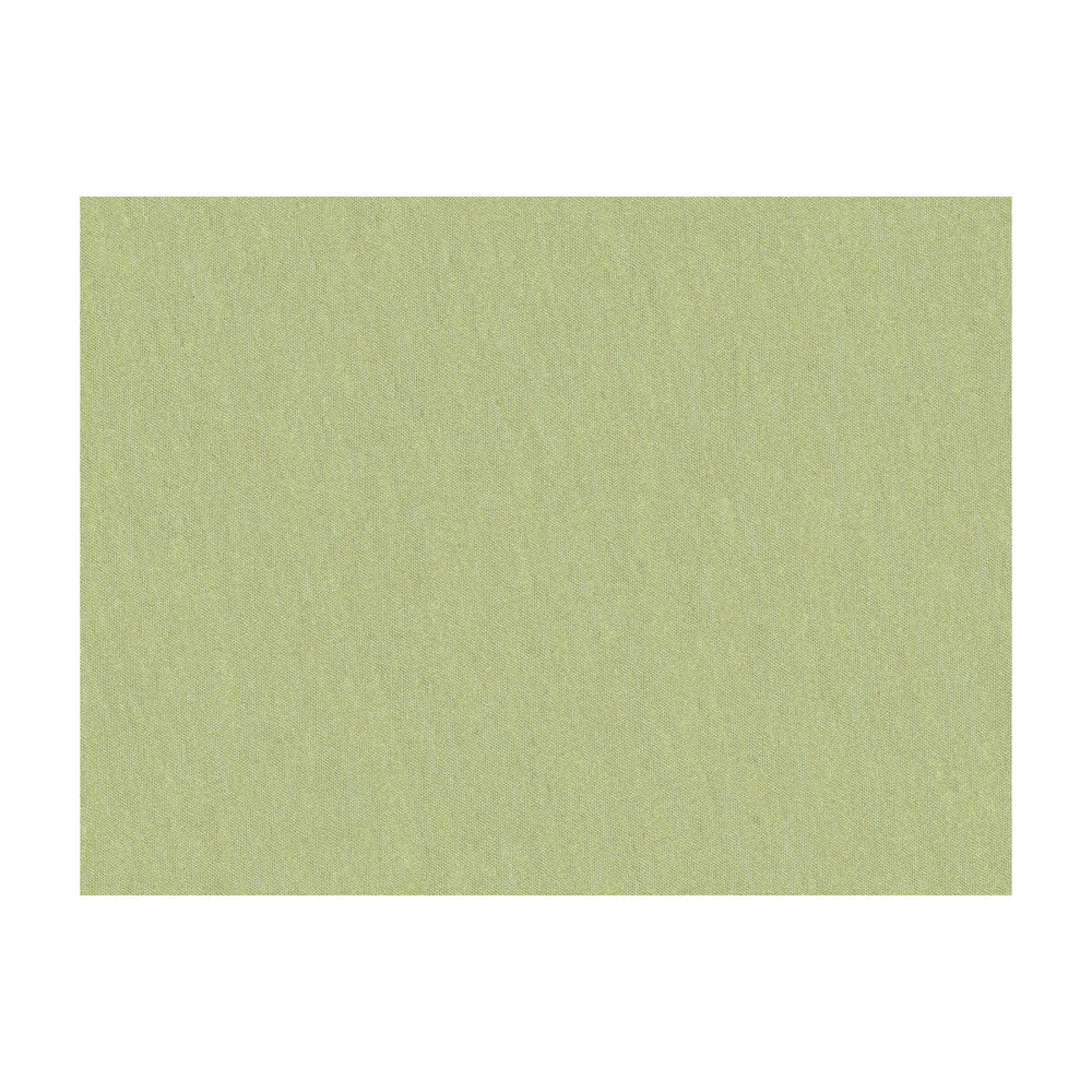 Shots Marjoram by Brunschwig & Fils Fabric Brunschwig & Fils Fabric Shots MarjoramFabric JAGTAR SILK - 100% Thailand </p><p>Repeat: H: 0, V: 0 54 - Fabric Carolina -