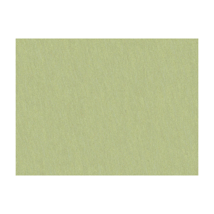 Shots Marjoram by Brunschwig & Fils Fabric Brunschwig & Fils Fabric Shots MarjoramFabric JAGTAR SILK - 100% Thailand </p><p>Repeat: H: 0, V: 0 54 - Fabric Carolina -