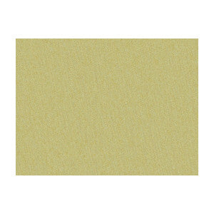 Shots Bronzetto by Brunschwig & Fils Designer Fabric