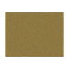 Shots Cuir by Brunschwig & Fils Designer Fabric