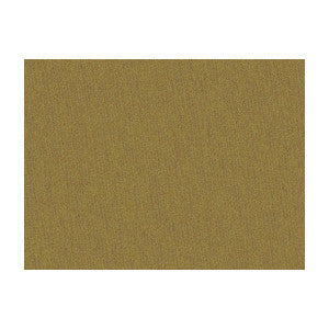 Shots Cuir by Brunschwig & Fils Designer Fabric