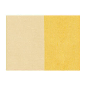 Petersburg Stp Lemonice by Brunschwig & Fils Designer Fabric