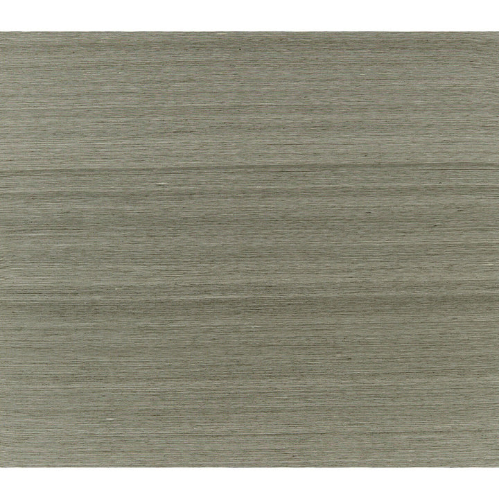 Silk Twist Pewter by Brunschwig & Fils Fabric Brunschwig & Fils Fabric Silk Twist PewterFabric JAGTAR SILK - 100% Thailand </p><p>Repeat: H: 0, V: 0 48 - Fabric Carolina -