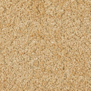 Jericho Teddy by Norbar Designer Fabric