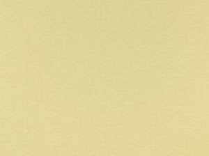 Jive Ivory 111 by Norbar Designer Fabric