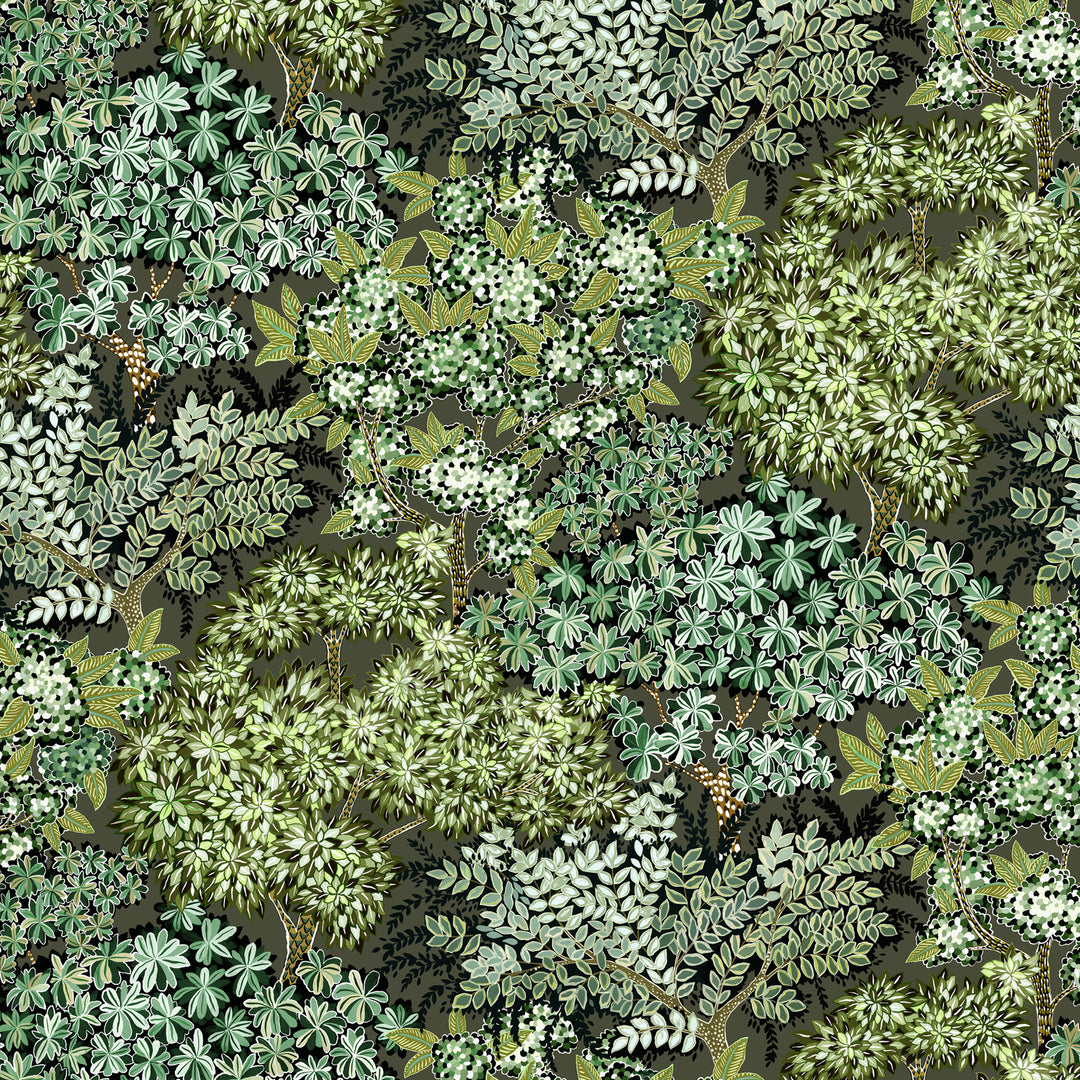 Broccoli Canpoy - 11 JMW1004.11.0 by Kravet Couture Designer Wallcovering