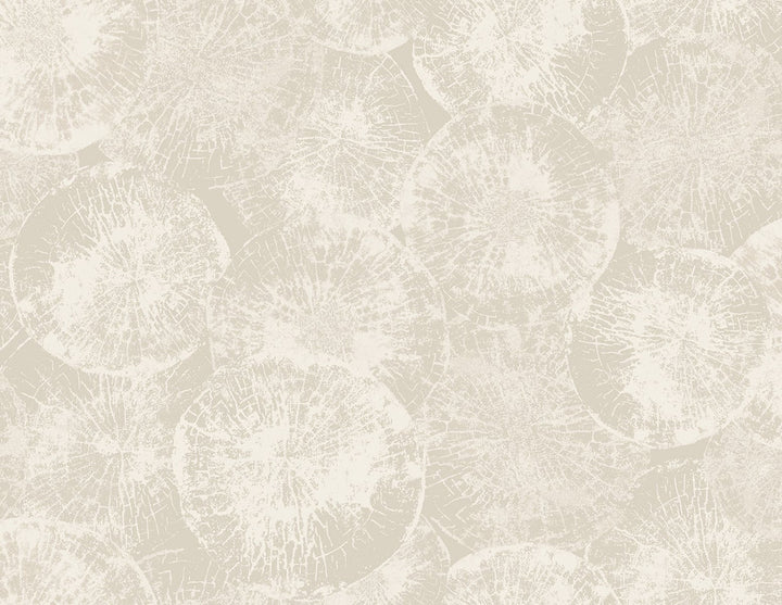 Eren Dove Grey JP10707 by Seabrook Designs Designer Wallpaper
