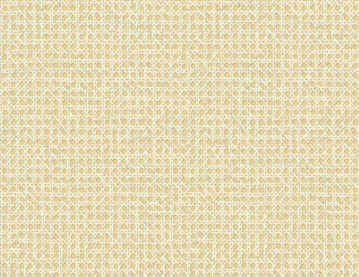 Mika Wheat JP11203 by Seabrook Designs Designer Wallpaper