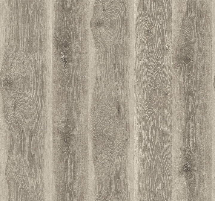 Kieri Ash Brown JP11315 by Seabrook Designs Designer Wallpaper