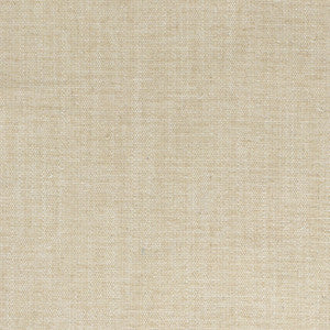 Judson 5 Beige by Stout Designer Fabric