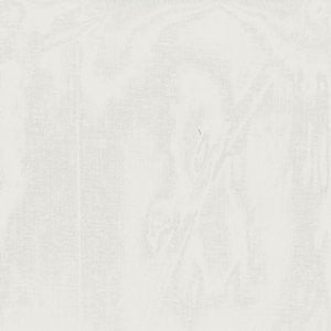 Jupiter Cream by Norbar Designer Fabric