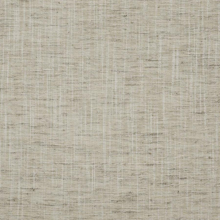 Kane # 111 Ash by Maxwell Designer Fabric Pure & Simple Ix 100% POLYESTER INDIA 54" - Swanky Fabrics -