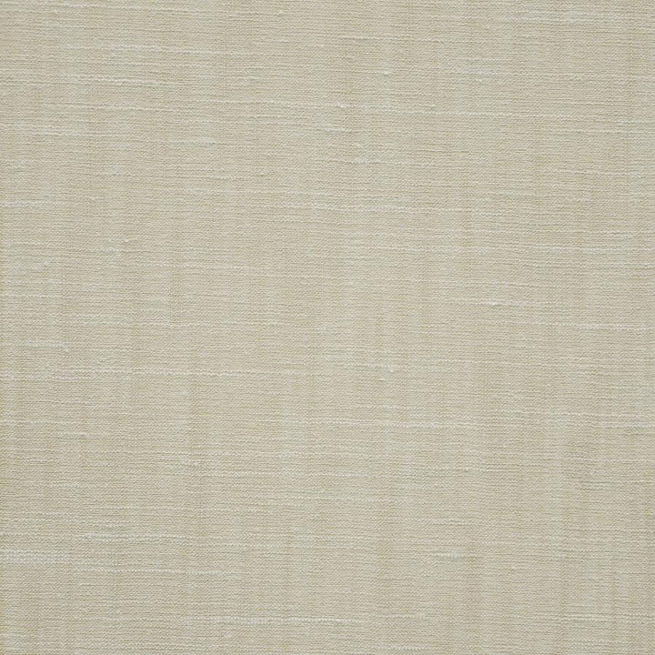 Kane # 136 Chablis by Maxwell Designer Fabric Pure & Simple Ix 100% POLYESTER INDIA 54" - Swanky Fabrics -