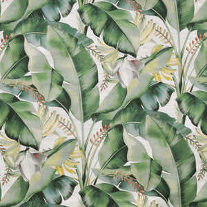 Kona # 521 Aloe by Maxwell Designer Fabric