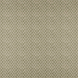 Kodi # 508 Fern by Maxwell Designer Fabric
