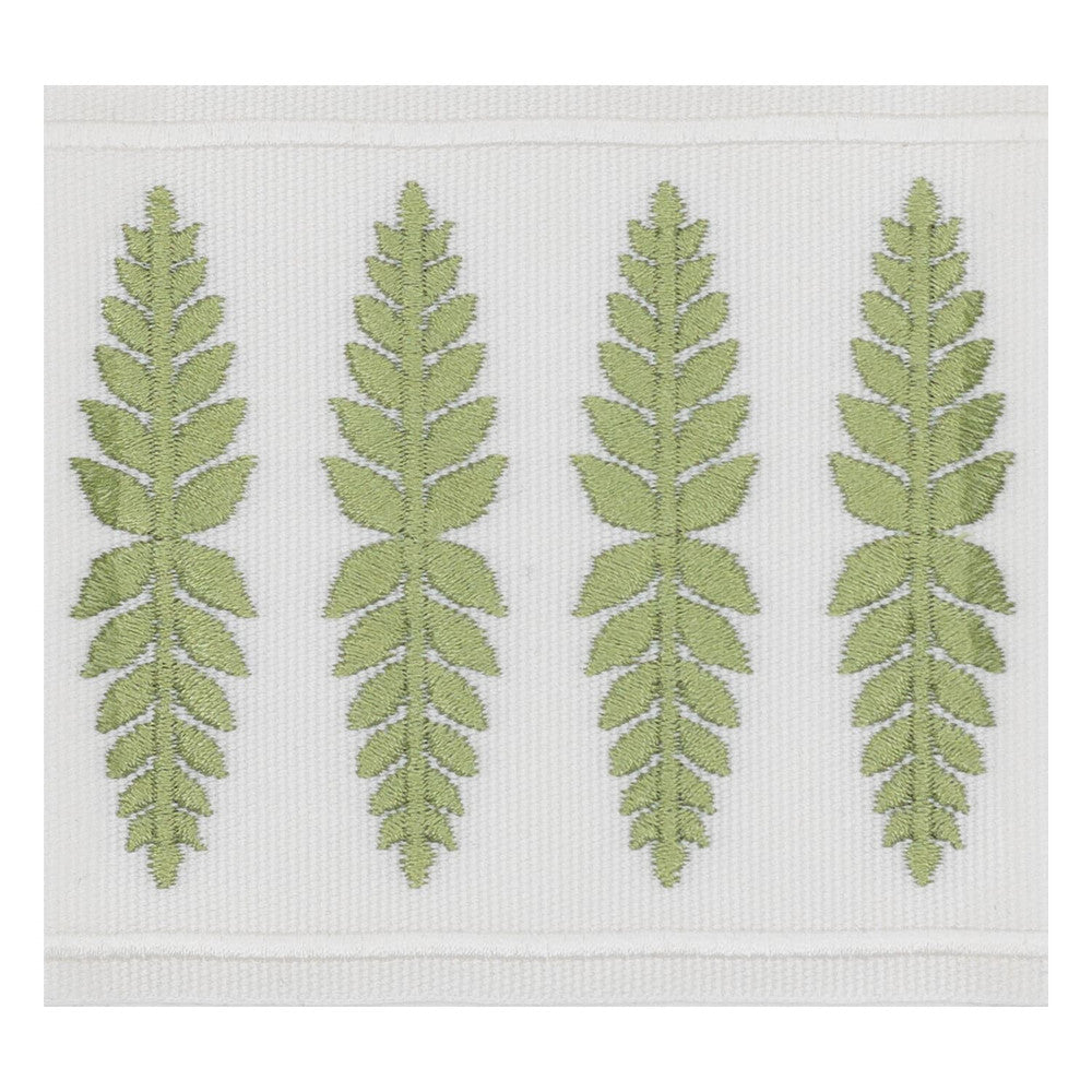 Kailua Tape 3 Moss by Stout Designer Trim SMALL WONDERS TRIM 100%POL CHINA Horizontal: 1.000 and Vertical: 0.000 3.5 in - Swanky Fabrics -