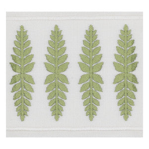 Kailua Tape 3 Moss by Stout Designer Trim