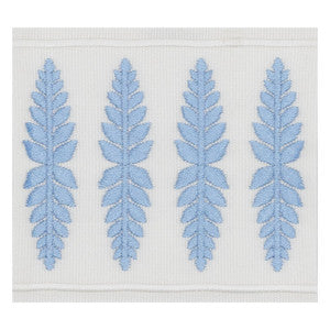 Kailua Tape 5 Starlight by Stout Designer Trim