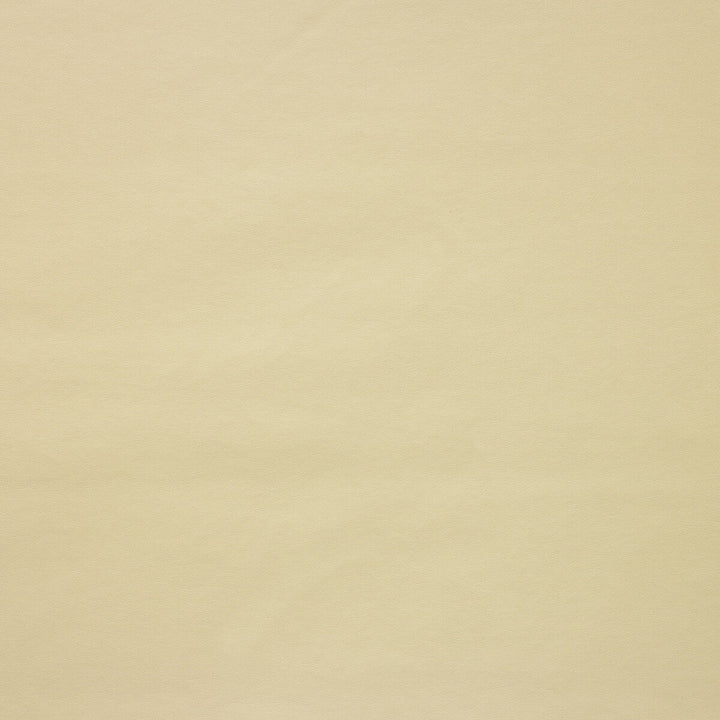 Kaston-116 by Kravet Design Designer Fabric - POLYURETHANE - 55%;POLYESTER - 45% Korea, Republic of HEAVY Horizontal: 0 and Vertical: 0 54 - Swanky Fabrics -