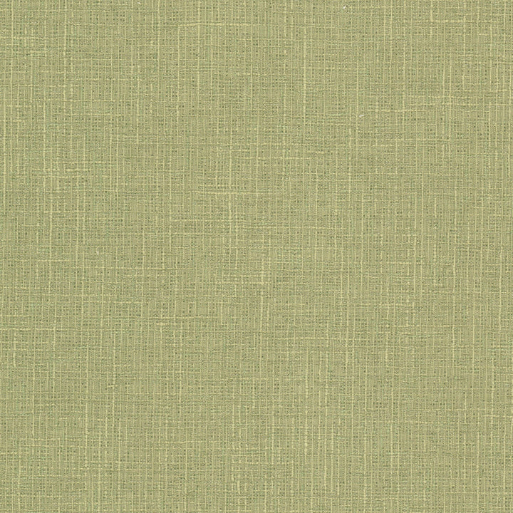 Keegan 1 Pistachio by Stout Fabric Stout Fabric Keegan 1 PistachioFabric COMFORTABLE LIVING SAGE/MOSS 62%POL 32%COT 6%SVI INDIA </p><p>Repeat: H: 0.000, V: 0.000 54 in - Fabric Carolina -