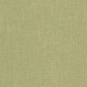 Keegan 1 Pistachio by Stout Designer Fabric