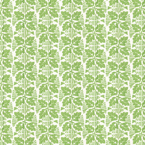 Keylargo 2 Grass by Aoc Designer Fabric